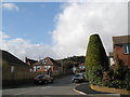 Impressive topiary in Chidham Road