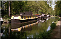 Houseboats on the Basingstoke Canal