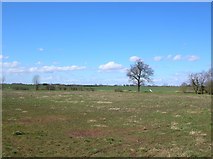 SE7254 : Farmland near High Catton by DS Pugh