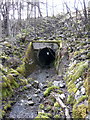 Drainage channel under aqueduct