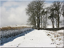 NY7567 : (The line of) Hadrian's Wall near Steel Rigg car park (2) by Mike Quinn