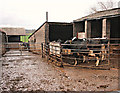 2008 : Cowshed, Dangerfield Farm near Buckland Dinham