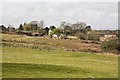 Smallholding south of The Lapstone pub, Horton Heath