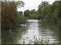 Canoeists on the Thames near Bablock Hythe