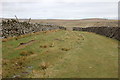 Tinkers Lane near Hebden