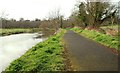 The Lagan towpath, Lisburn (4)