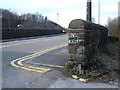 Railway Bridge, Jubilee Bends, Shaw