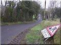 Road at Moyglass