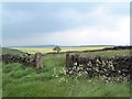 View from Hartcliffe Road