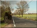 Rectory Road, leading to Little Burstead