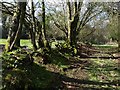 Chudleigh Bridleway 3