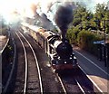 Evening Steam through Ivybridge