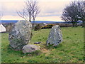 Standing Stones at Garmouth