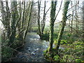 East Looe River - downstream