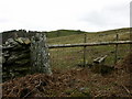 Stile near Bryn Maen-Mawr