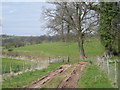 Footpath to Hopton Brook