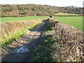 Chinnor: Bridleway to the Ridgeway and Chinnor Hill