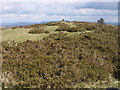 Summit cairn on Gaer