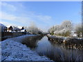 Droitwich Canal by Heron Water estate