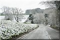 Belmore Lane after April snow