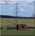 Farmland near Tilton on the Hill