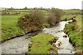 River near Waringsford