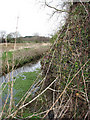 View across nameless stream