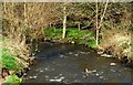 The Ravernet River near Ravernet