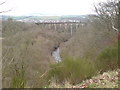 The railway viaduct crossing the Lugar Water