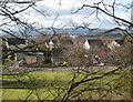 Houses at Kinnoull