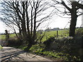 Pen-yr-allt Farm seen from the road