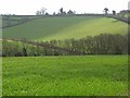 Farmland, Marlow