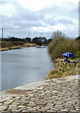 SE6029 : The Selby Canal by Paul Glazzard
