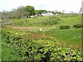 Field and house in the upper Moygannon valley