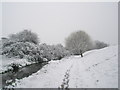 Snowy scene beside stream running adjacent to Langstone Technology Park