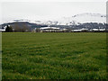 Across the field to Faceby Lodge Cottages and snowy Cleveland Hills