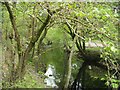 SJ0218 : River Vyrnwy below dam by John Firth