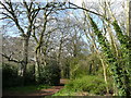 Footpath into Fennell