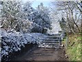 Gated road in winter