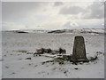 NY8647 : Trig point on Green Hill by Mike Quinn