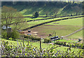 Hillside paddock near Crocker