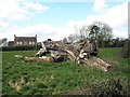 SU7522 : Intriguing log near Petersfield Golf Course by Basher Eyre