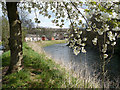 River Ebbw looking downriver