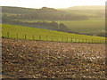 Hillside above Watlington