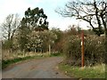 A footpath and bridleway meeting point