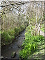 Tregoniggie stream