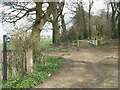 Bridleway north of Longleat