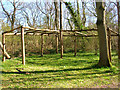 Wooden Structure, Tottington Wood