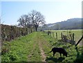 Footpath to Great Durnford