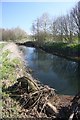 River Gipping near Great Blakenham